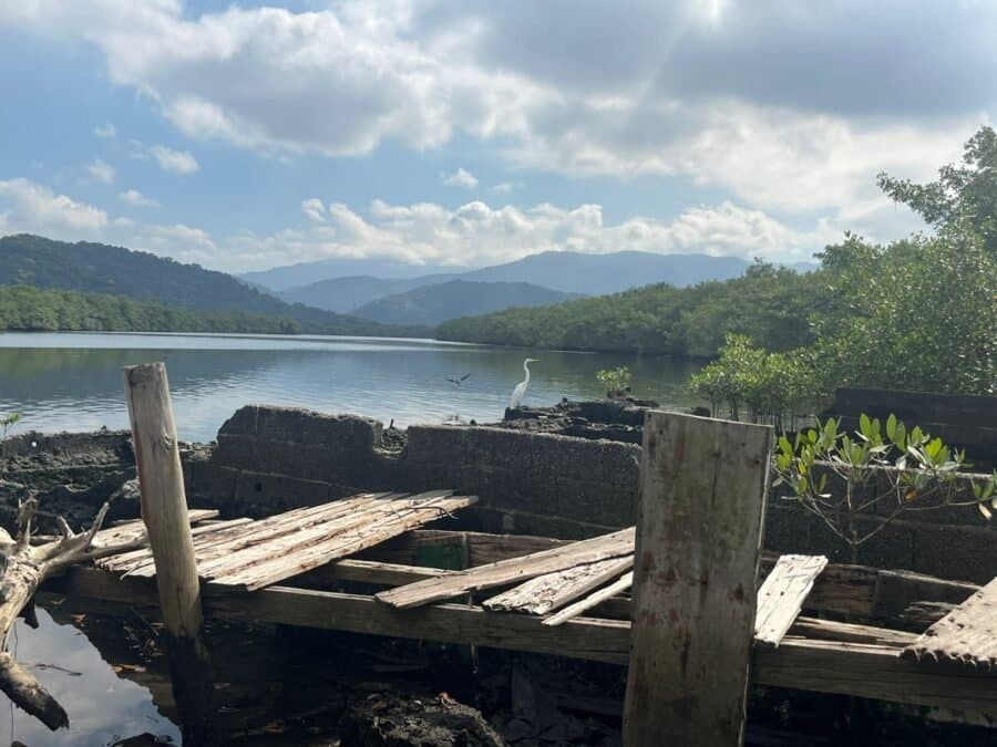 Ilha Diana: Conheça o paraíso natural da Baixada Santista que pode ser acessado com menos de 1 real